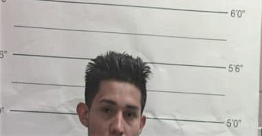 Perez Martinez, - Orleans Parish County, LA 